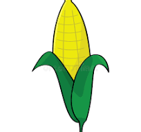 Maize